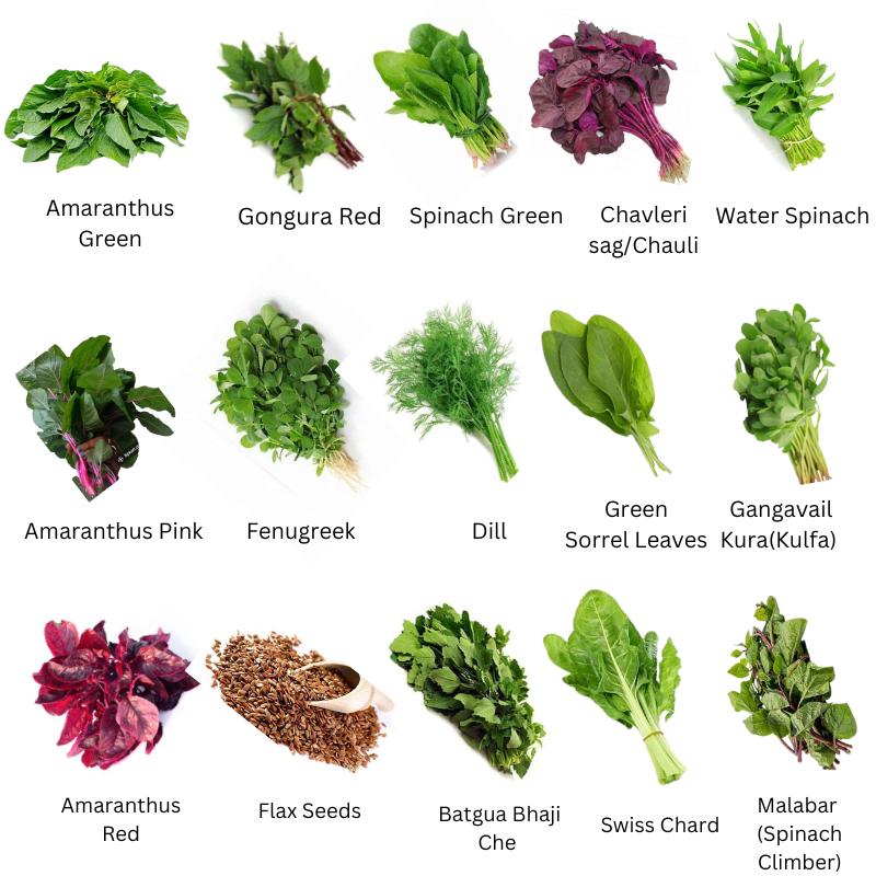 🥬 Leafy Greens for Better Digestion: What to Eat and Why